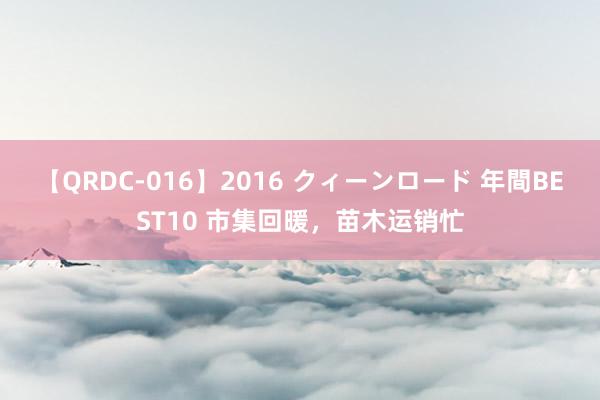 【QRDC-016】2016 クィーンロード 年間BEST10 市集回暖，苗木运销忙