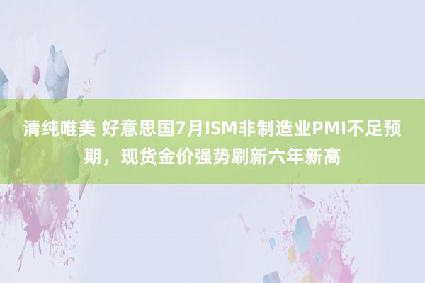 清纯唯美 好意思国7月ISM非制造业PMI不足预期，现货金价强势刷新六年新高