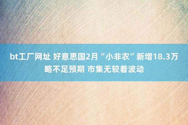 bt工厂网址 好意思国2月“小非农”新增18.3万略不足预期 市集无较着波动