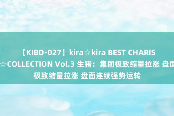 【KIBD-027】kira☆kira BEST CHARISMA☆MODEL☆COLLECTION Vol.3 生猪：集团极致缩量拉涨 盘面连续强势运转