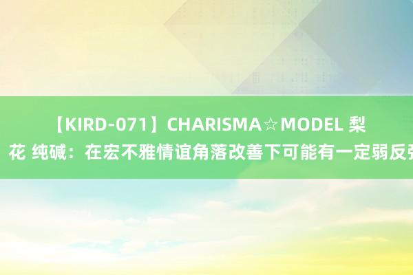 【KIRD-071】CHARISMA☆MODEL 梨々花 纯碱：在宏不雅情谊角落改善下可能有一定弱反弹