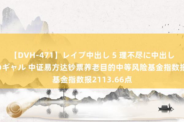 【DVH-471】レイプ中出し 5 理不尽に中出しされた7人のギャル 中证易方达钞票养老目的中等风险基金指数报2113.66点