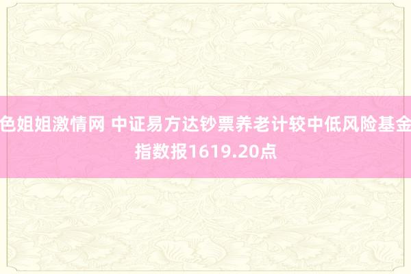 色姐姐激情网 中证易方达钞票养老计较中低风险基金指数报1619.20点