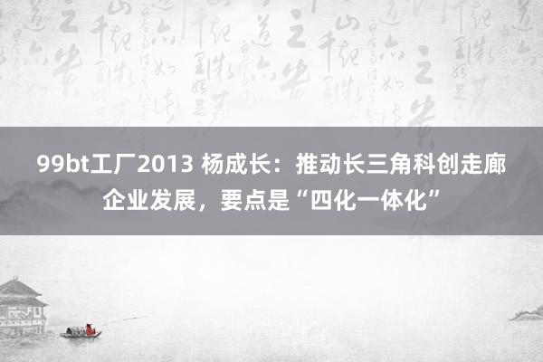 99bt工厂2013 杨成长：推动长三角科创走廊企业发展，要点是“四化一体化”