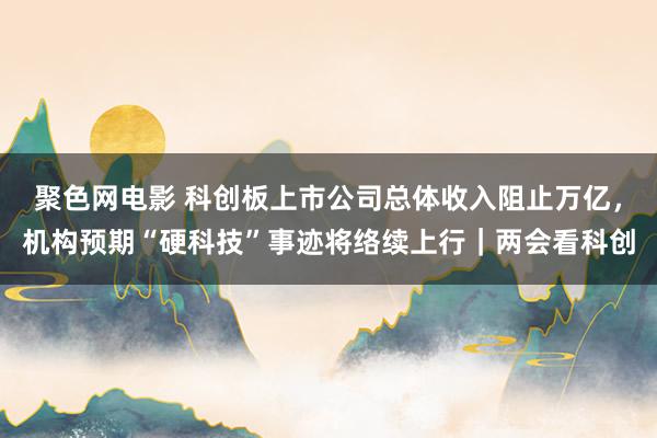 聚色网电影 科创板上市公司总体收入阻止万亿，机构预期“硬科技”事迹将络续上行｜两会看科创