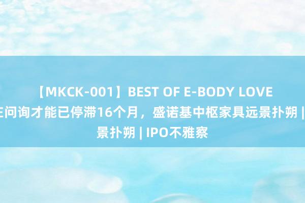 【MKCK-001】BEST OF E-BODY LOVERS 2008 在问询才能已停滞16个月，盛诺基中枢家具远景扑朔 | IPO不雅察