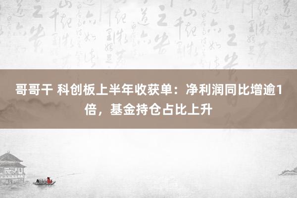 哥哥干 科创板上半年收获单：净利润同比增逾1倍，基金持仓占比上升