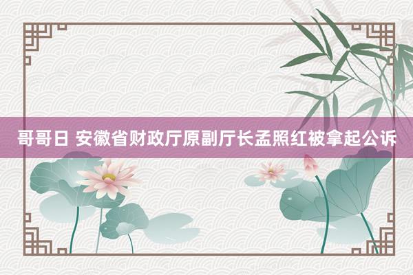 哥哥日 安徽省财政厅原副厅长孟照红被拿起公诉