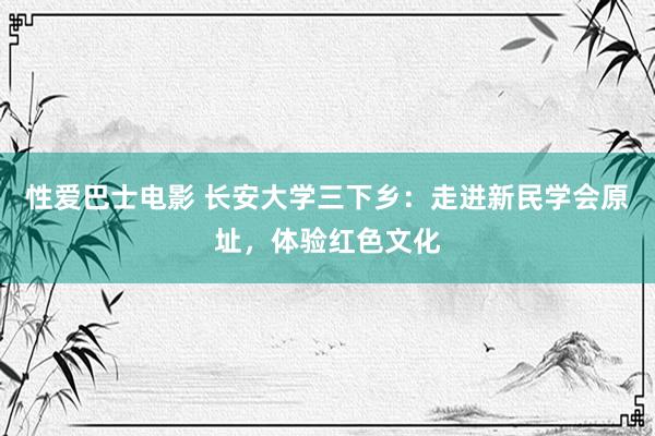 性爱巴士电影 长安大学三下乡：走进新民学会原址，体验红色文化