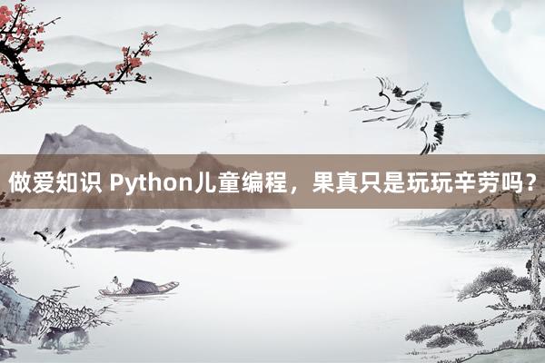 做爱知识 Python儿童编程，果真只是玩玩辛劳吗？