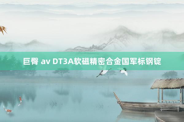 巨臀 av DT3A软磁精密合金国军标钢锭