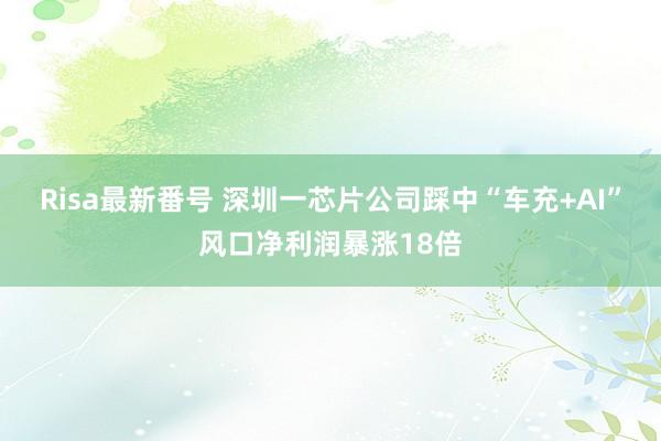 Risa最新番号 深圳一芯片公司踩中“车充+AI”风口净利润暴涨18倍