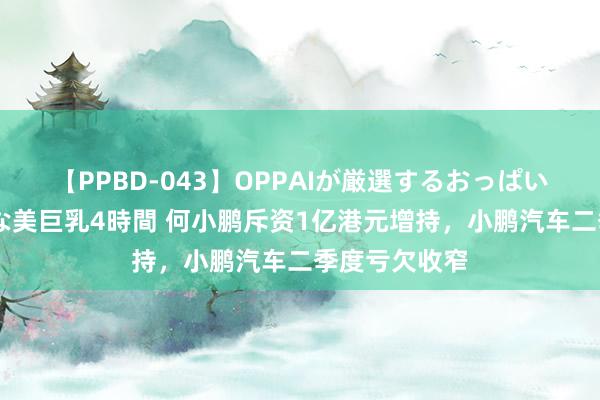 【PPBD-043】OPPAIが厳選するおっぱい 綺麗で敏感な美巨乳4時間 何小鹏斥资1亿港元增持，小鹏汽车二季度亏欠收窄