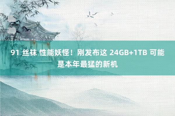 91 丝袜 性能妖怪！刚发布这 24GB+1TB 可能是本年最猛的新机