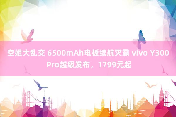 空姐大乱交 6500mAh电板续航灭霸 vivo Y300 Pro越级发布，1799元起