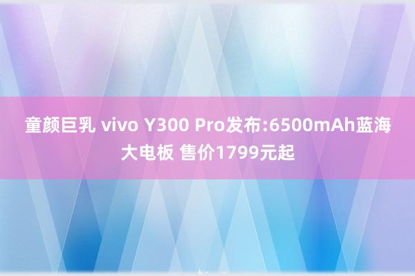 童颜巨乳 vivo Y300 Pro发布:6500mAh蓝海大电板 售价1799元起