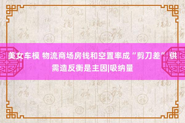 美女车模 物流商场房钱和空置率成“剪刀差” 供需造反衡是主因|吸纳量