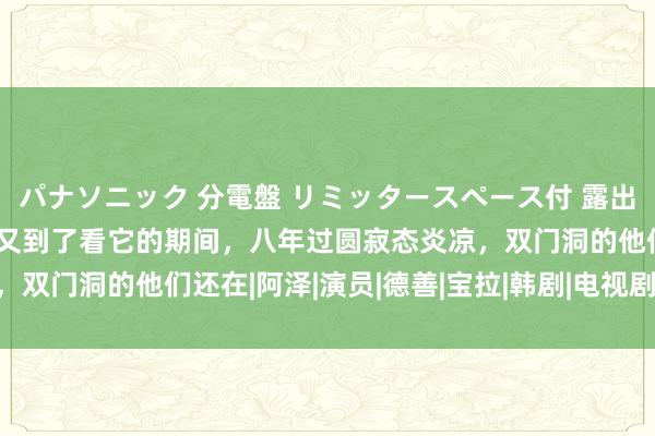 パナソニック 分電盤 リミッタースペース付 露出・半埋込両用形 降温了又到了看它的期间，八年过圆寂态炎凉，双门洞的他们还在|阿泽|演员|德善|宝拉|韩剧|电视剧|演艺生计